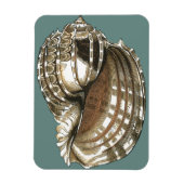 Seejuwel Magnet (Vertikal)