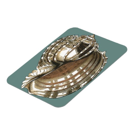 Seejuwel Magnet (Linke Seite)