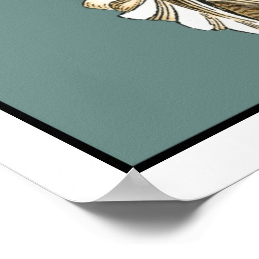 Seejuwel Poster (Ecke)