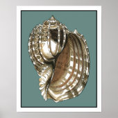 Seejuwel Poster (Vorne)