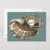 Seejuwel Postkarte (Vorne/Hinten)