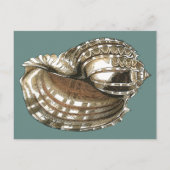 Seejuwel Postkarte (Vorderseite)