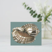 Seejuwel Postkarte (Stehend Vorderseite)