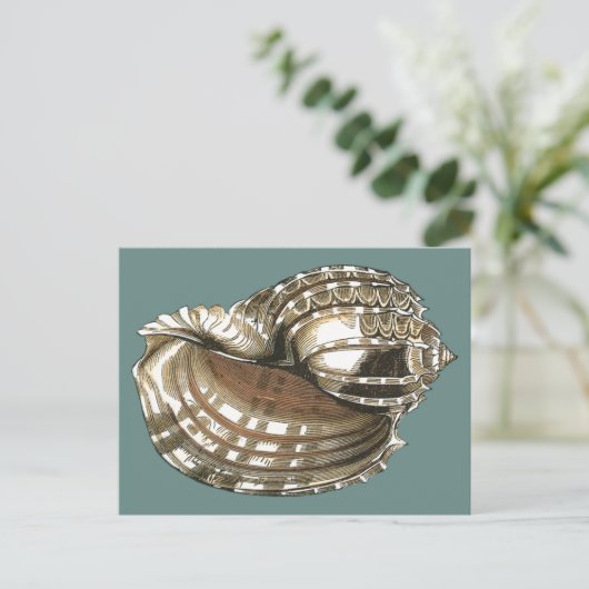 Seejuwel Postkarte (Stehend Vorderseite)