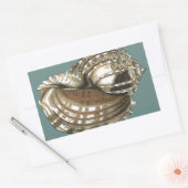 Seejuwel Rechteckiger Aufkleber (Umschlag)