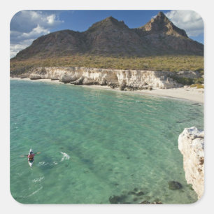 Seekanadier im Golf von Kalifornien bei Isla Quadratischer Aufkleber