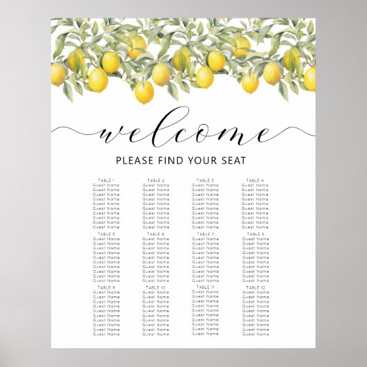 Seekarte für Zitronenfrüchte im Mittelmeer Poster (Vorne)