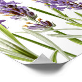 Seekarte Poster (Ecke)