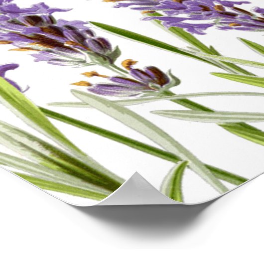 Seekarte Poster (Ecke)