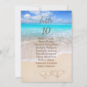 Seekarten der tropischen Seeteufer Einladung (Rückseite)