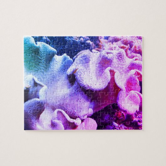 Seekoralle Puzzle (Horizontal)