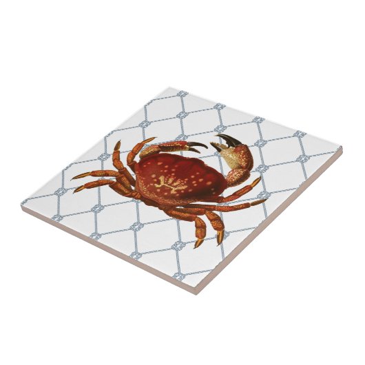 Seekrabbe Fliese (Seite)