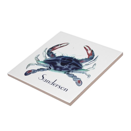 Seeküste Fliese (Seite)