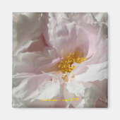 Seelage Magnet (Vorne)