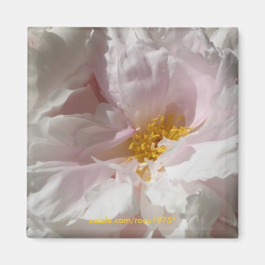 Seelage Magnet (Vorne)