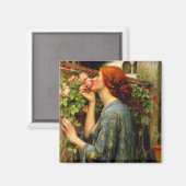Seele der Rose John William Waterhouse Magnet (Vorderseite/Rückseite)