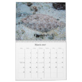 Seeleben-Kalender 2009,… Kalender (Mär 2027)