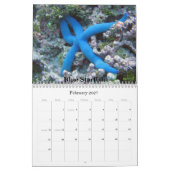 Seeleben-Kalender 2009,… Kalender (Feb 2027)