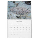 Seeleben-Kalender 2009,… Kalender (Mär 2026)