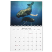 Seeleben-Kalender 2018 Kalender (Jan 2026)