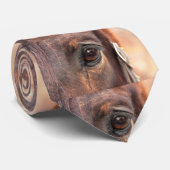 Seelenauge Krawatte (Gerollt)