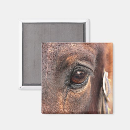 Seelenauge Magnet (Vorderseite/Rückseite)