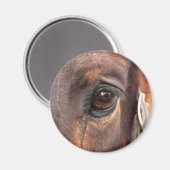 Seelenauge Magnet (Vorderseite/Rückseite)