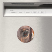 Seelenauge Magnet (In Situ (Geschirrspüler))