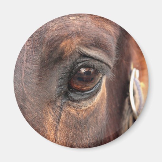 Seelenauge Magnet (Vorne)