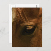 Seelenauge Postkarte (Vorne/Hinten)