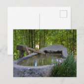 Seelenfrieden Postkarte (Vorne/Hinten)