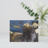 Seelenhöhe Postkarte (Stehend Vorderseite)