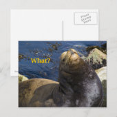 Seelenhöhe Postkarte (Vorne/Hinten)