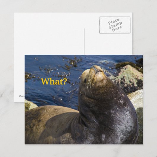 Seelenhöhe Postkarte (Vorne/Hinten)