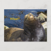 Seelenhöhe Postkarte (Vorderseite)