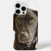 Seelenschnee-Sprinkled Schokolade Labrador Case-Ma Case-Mate iPhone Hülle (Rückseite)