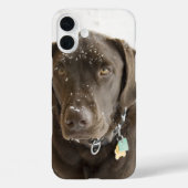 Seelenschnee Sprinklerfarbene Schokolade Labrador Case-Mate iPhone Hülle (Rückseite)