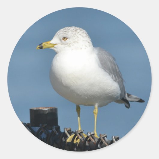 Seelensticker Runder Aufkleber (Vorderseite)