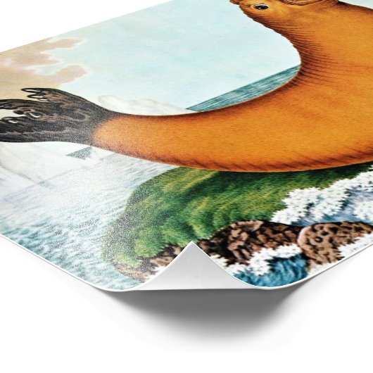 Seelephant Illustration (Zotl) Fotodruck (Ecke)