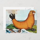 Seelephant Illustration (Zotl) Postkarte (Vorne/Hinten)