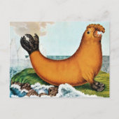 Seelephant Illustration (Zotl) Postkarte (Vorderseite)