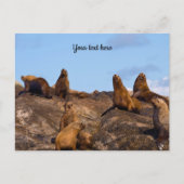 Seelion-Postkarte Postkarte (Vorderseite)