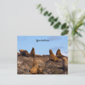 Seelion-Postkarte Postkarte (Stehend Vorderseite)