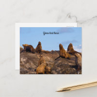 Seelion-Postkarte