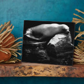 Seelöwe .1781 fotoplatte (Seite)