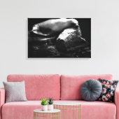 Seelöwe .1781 leinwanddruck (Insitu (Wohnzimmer))