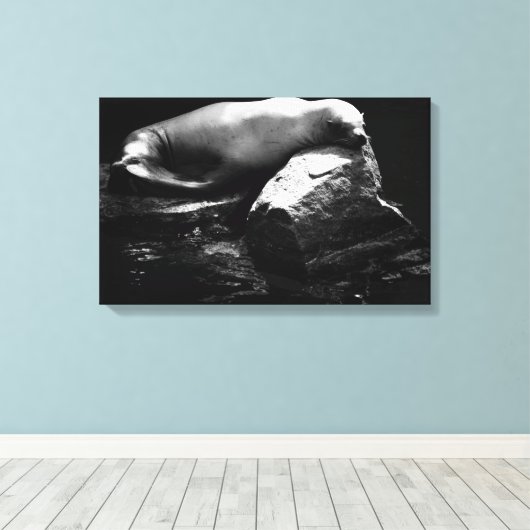 Seelöwe .1781 leinwanddruck (Insitu (Holzboden))