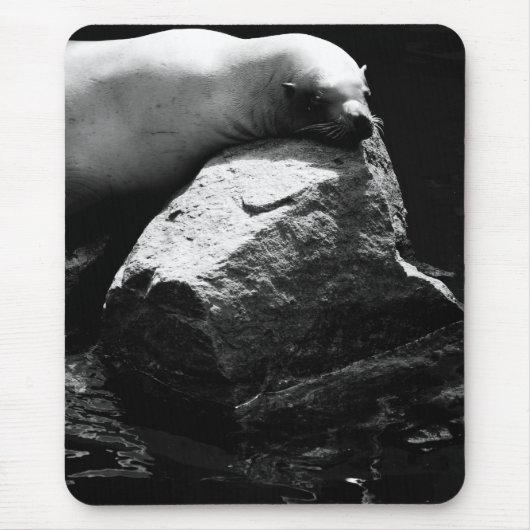 Seelöwe .1781 mousepad (Vorne)