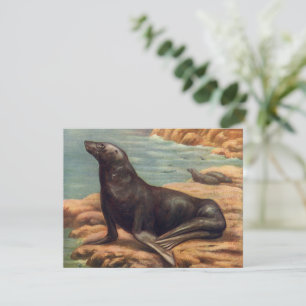 Seelöwe am Meeresufer, Vintage Meeres Säugetiere