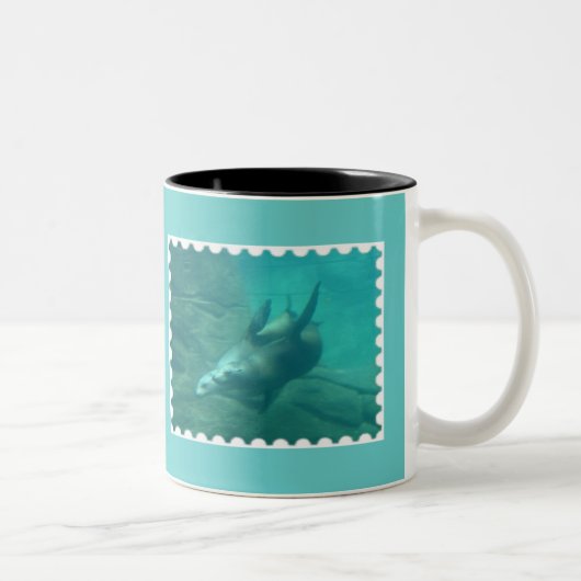 Seelöwe-Aqua-Tasse Zweifarbige Tasse (Rechts)
